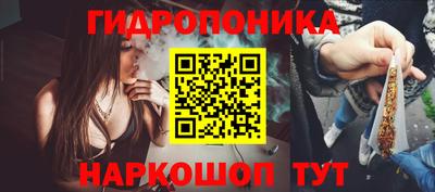 бошки Заводоуковск