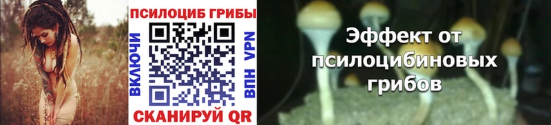 Псилоцибиновые грибы MAGIC MUSHROOMS  mega маркетплейс  Ржев 
