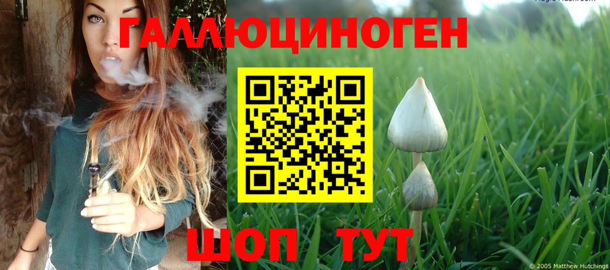 Псилоцибиновые грибы мицелий  Галлюциногенные грибы MAGIC MUSHROOMS  Ржев 