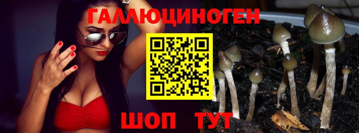 Ржев  Галлюциногенные грибы GOLDEN TEACHER  Вход с VPN 
