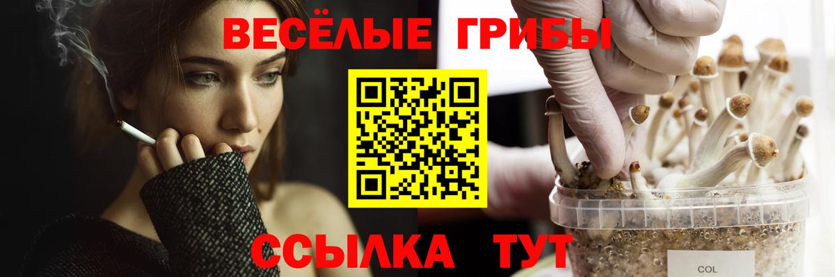 Галлюциногенные грибы мицелий Ржев